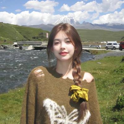盗贼泰瑞莎