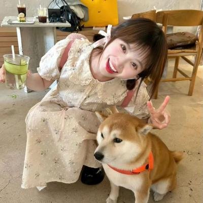 加菲猫和他的朋友们第二季