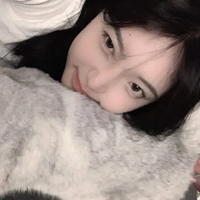 依法相爱